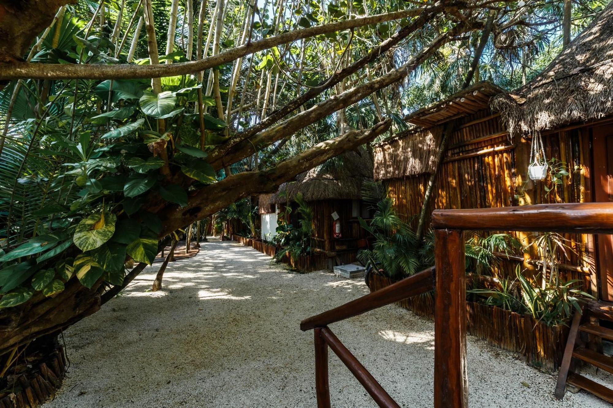 Eco Banitas Tulum Hotel Exterior foto